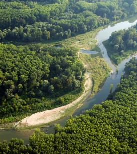 Ein Seitenarm der Donau im Nationalpark Donau-Auen.